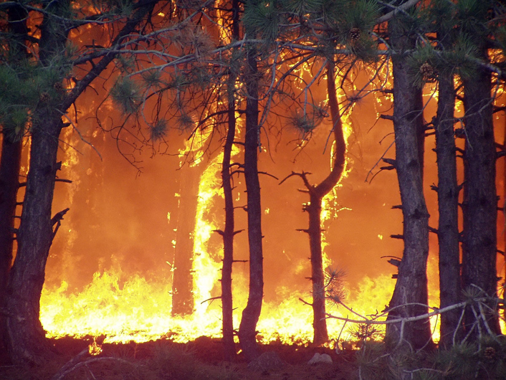 Пожароопасные выходные предрекают спасатели Кубани