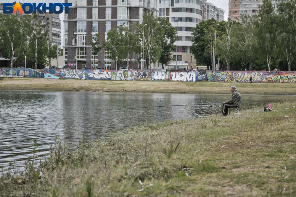 Мэр Краснодара заявил о ненормальной недоработке зон отдыха у воды