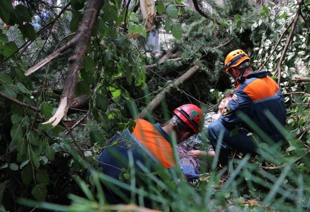 Спасатели достали пенсионерку из-под дерева в Сочи
