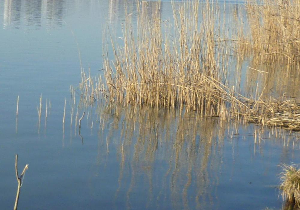 Стали известны подробности гибели трех человек в Краснодарском водохранилище