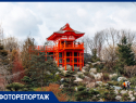 Показываем открытие Японского сада в парке Галицкого – самого большого в мире: фоторепортаж