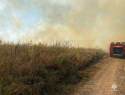 В Краснодарском крае население вывели из посёлка из-за природного пожара: видео 