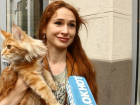 Краснодарцы рассказали, что думают о «налоге на малодетность и бездетность»