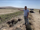 Бастрыкин проверит выпас скота женой егеря на особо охраняемых природных землях в Краснодарском крае