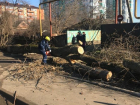  Три электростолба и дерево упали на дорогу в поселке Краснодарском 