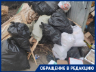 Жители Краснодара обратились к властям из-за мусорного бардака