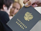 Почти 9 тысяч неофициально трудоустроенных жителей Кубани выявлено с начала года