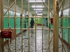 В Краснодаре в драке в СИЗО погиб мужчина 