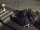 Женщина под покровом ночи «обнесла» клумбу в центре Краснодара