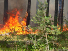 На Кубани объявлен высший класс пожароопасности
