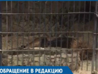 Краснодарцев возмутили условия содержания животных в Сафари-Парке 