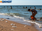 Гибель рыбы, нашествие медуз, высокая солёность: Азовскому морю грозит экологическая катастрофа