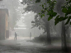 Штормовое предупреждение: в Краснодаре пройдет сильный дождь со шквалистым ветром