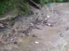 Сочинец спас от смерти пару, которую смыло в реку грязевым потоком