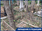«Могут упасть кому-то на голову»: краснодарцы требуют убрать сухие деревья на кладбище