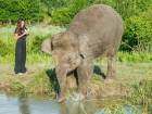 В Сочи открыли первый в стране парк для отдыха слонов