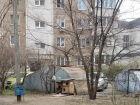 Городок для бездомных животных вырос около домов в ЮМР Краснодара