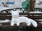 Налипание снега и гололед спрогнозировали в Краснодарском крае