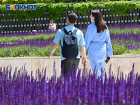 В День крановщика вернется облачная погода: утренний дайджест