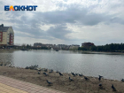 В последний рабочий день в Краснодаре дождя не будет