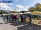 В Краснодарском крае упало производство сыра, сахара и свинины 