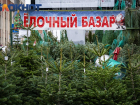 Открытие ёлочных базаров в Краснодаре отложили из-за тёплой погоды