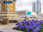 В Краснодаре 30% компаний организуют для сотрудников летние корпоративы
