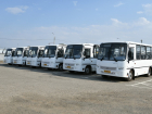 Это ад: жители Краснодара умоляют мэра предоставить школьный автобус