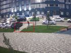 СК возбудил дело о халатности после нападения безнадзорных собак на ребенка в Краснодаре