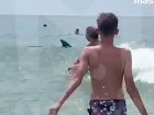  Туристы перепутали дельфинов с акулами в Чёрном море