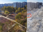 В Юбилейном микрорайоне Краснодара во время благоустройства исчезли деревья