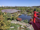 Малютки-карпики и большие черепахи: Японский сад парка «Краснодар» показал своих обитателей