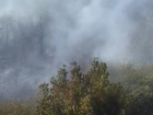 В Краснодаре произошел пожар на улице Тепличной