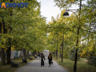 Краснодарцы не смогут попасть в Ботанический сад перед выходными