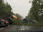 Из-за ураганного ветра на Кубани рухнули деревья на грузовик