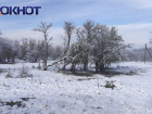 В Краснодарском крае выпал первый снег: фото и видео