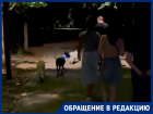 Скандал в Ботаническом саду: компания с собаками напала на краснодарца после замечания