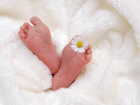 Краснодар удерживает первенство по рождаемости в крае