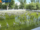 В Краснодаре отключили фонтаны в День ВДВ