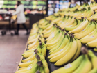 Краснодарский фермер призвал не верить в бананы, зараженные коронавирусом