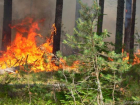 На территории Кубани объявлен высший класс пожароопасности