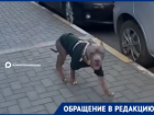 «Мне потом косточки от своей собаки собирать?»: краснодарку разозлил бесповодочный пес на территории ЖК