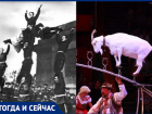 «Тогда и сейчас»: какие цирки развлекали краснодарцев в разные времена