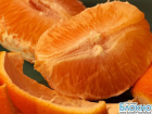 В Новороссийске изъяли 72 тонны египетских апельсинов