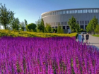 Жителей Краснодара восхитила «новая локация» в парке Галицкого