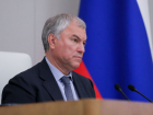 Председатель Госдумы: совершенствование миграционного законодательства – в приоритете