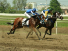 Более 100 лошадей разыграли миллион рублей в честь Дня Победы в Краснодаре 