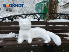 В Гидрометцентре призвали не ждать снега в Краснодарском крае 