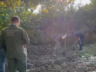 Убийство новорожденной девочки раскрыли спустя 10 лет в Краснодарском крае