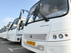 Новый автобусный маршрут для школьников появится в Новознаменском районе Краснодара